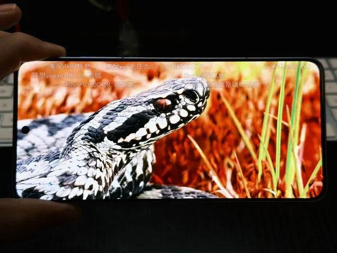 1 :一杯即满配的“超神游戏机”来了pg模拟器电脑版iQOO Neo1(图1) 1 :一杯即满配的“超神游戏机”来了pg模拟器电脑版iQOO Neo1(图1)